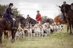 Schleppjagd_Laichingen-693