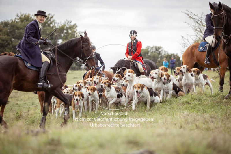 Schleppjagd_Laichingen-694