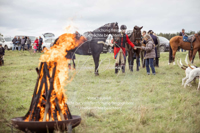 Schleppjagd_Laichingen-703