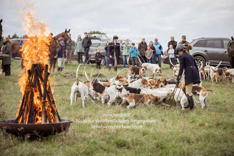 Schleppjagd_Laichingen-706