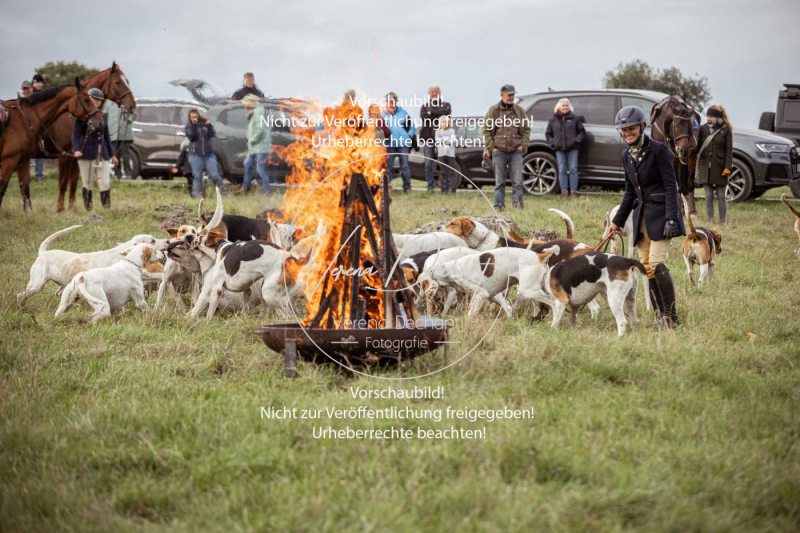 Schleppjagd_Laichingen-715