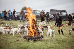 Schleppjagd_Laichingen-716