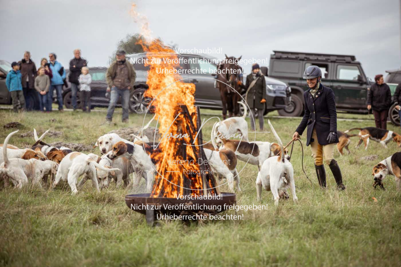 Schleppjagd_Laichingen-716