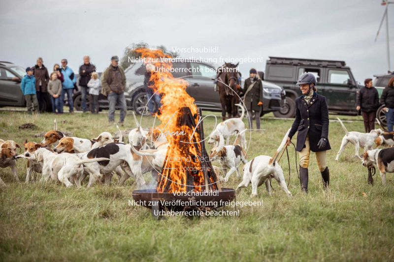 Schleppjagd_Laichingen-717