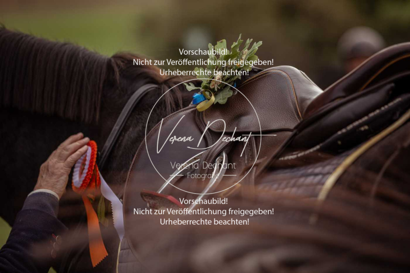 Schleppjagd_Laichingen-761