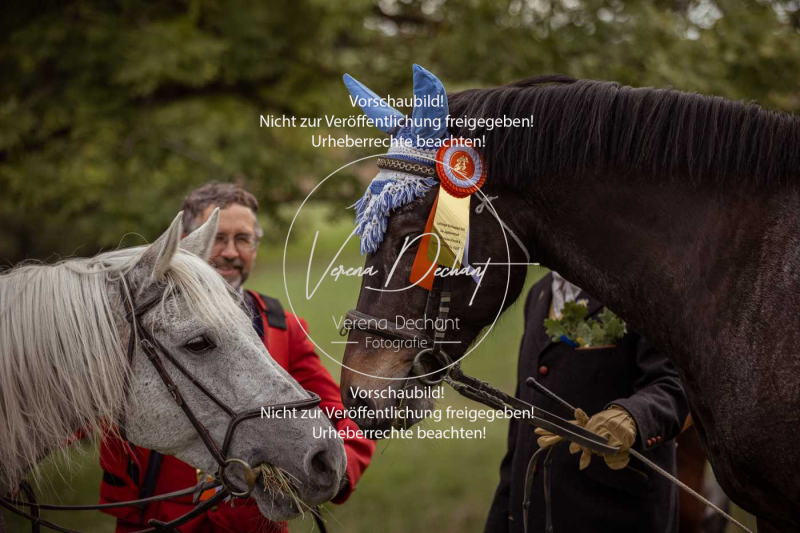 Schleppjagd_Laichingen-766