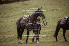 Schleppjagd_Laichingen-780