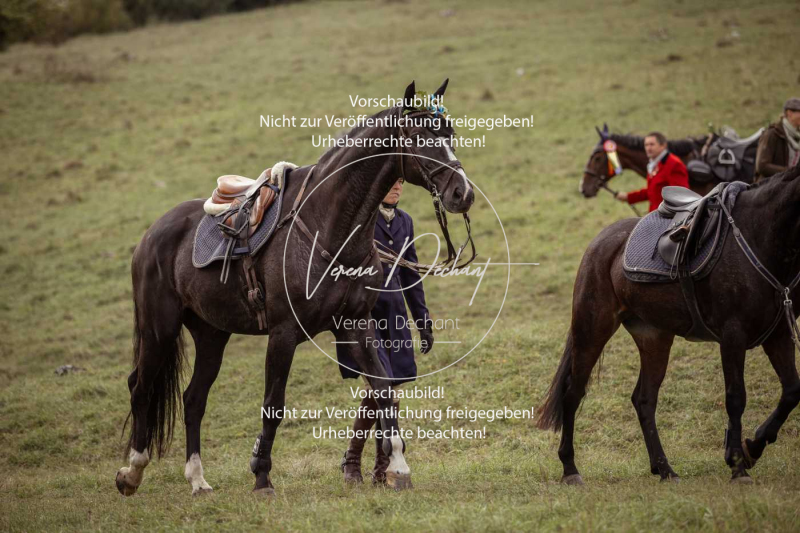 Schleppjagd_Laichingen-781