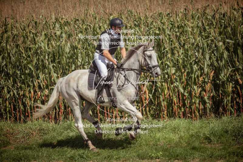 Schleppjagd_Handzell-299