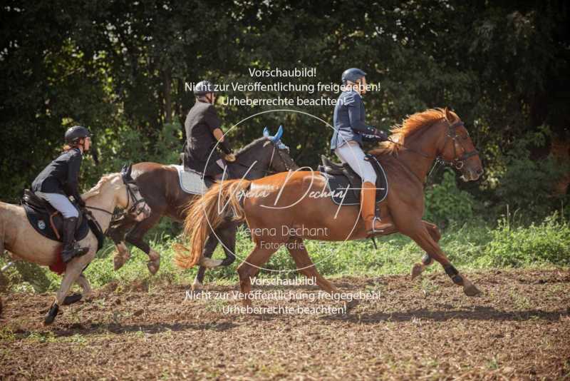 Schleppjagd_Handzell-442