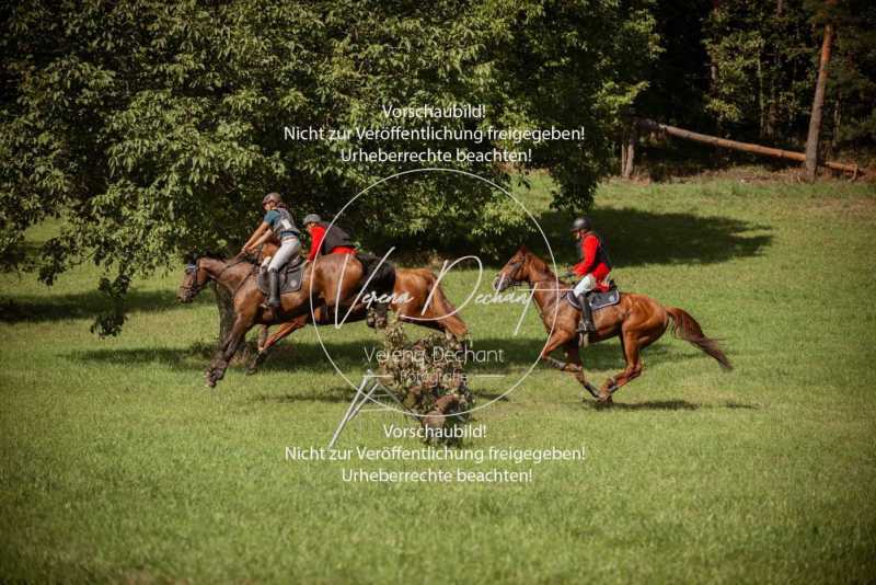 Schleppjagd_Handzell-650