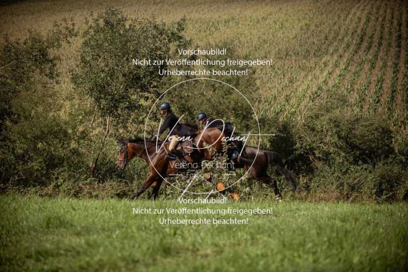 Schleppjagd_Handzell-704