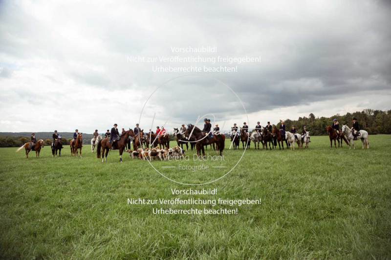 Schleppjagd_Roth-004