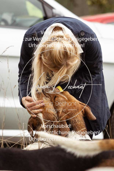 Schleppjagd_Roth-011