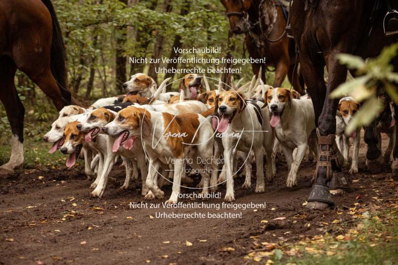 Schleppjagd_Roth-033