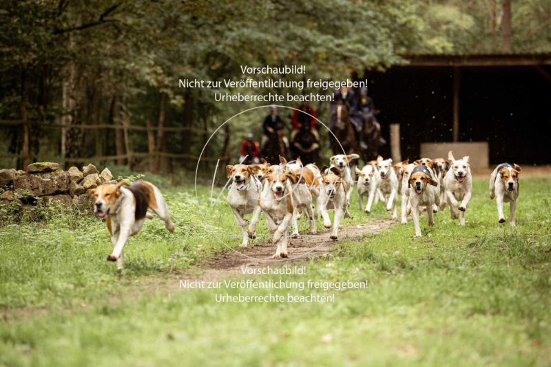 Schleppjagd_Roth-040