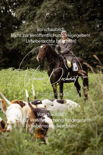 Schleppjagd_Roth-121