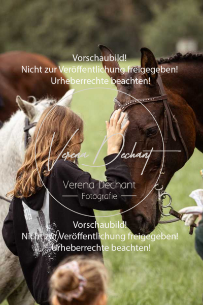 Schleppjagd_Roth-201