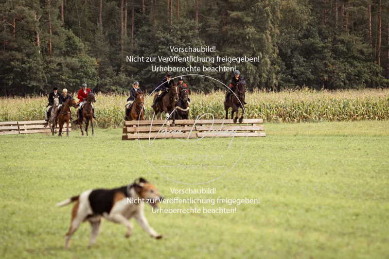 Schleppjagd_Roth-215