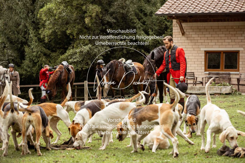 Schleppjagd_Roth-238