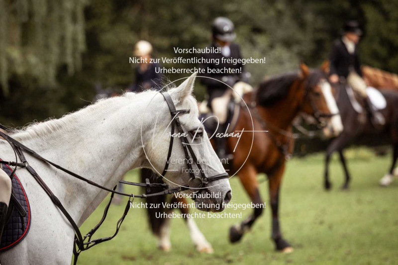 Schleppjagd_Roth-239