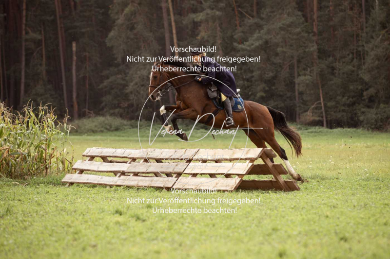 Schleppjagd_Roth-265