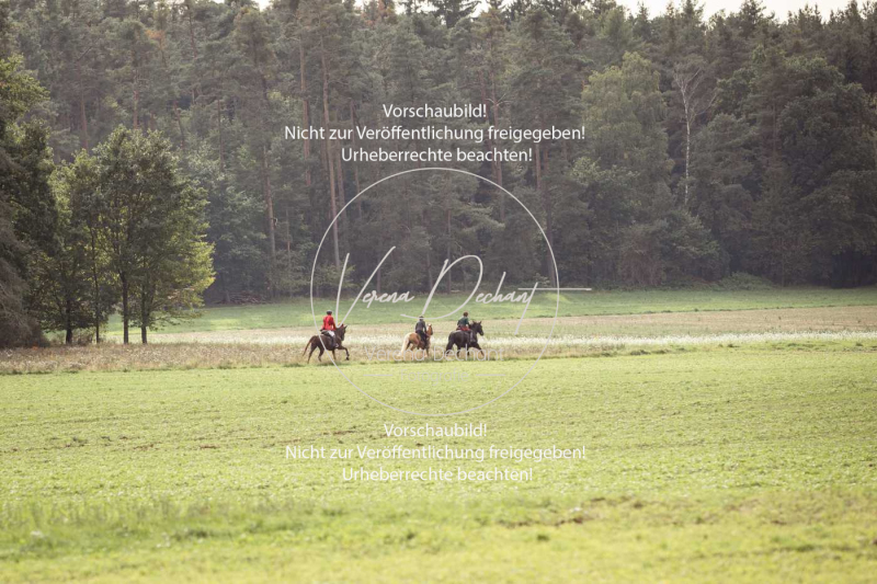 Schleppjagd_Roth-307