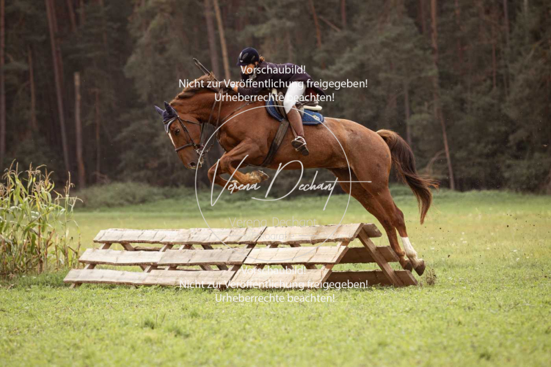 Schleppjagd_Roth-313