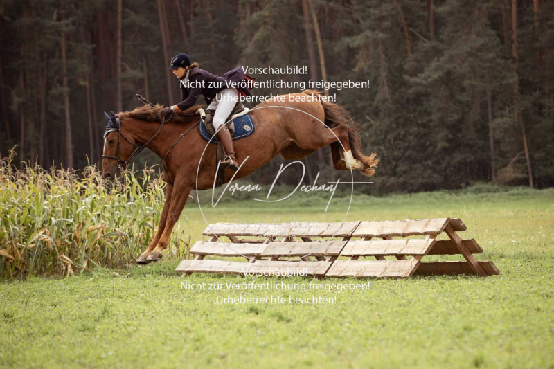 Schleppjagd_Roth-368