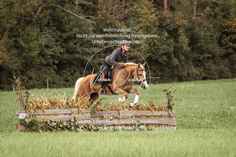 Schleppjagd_Roth-375