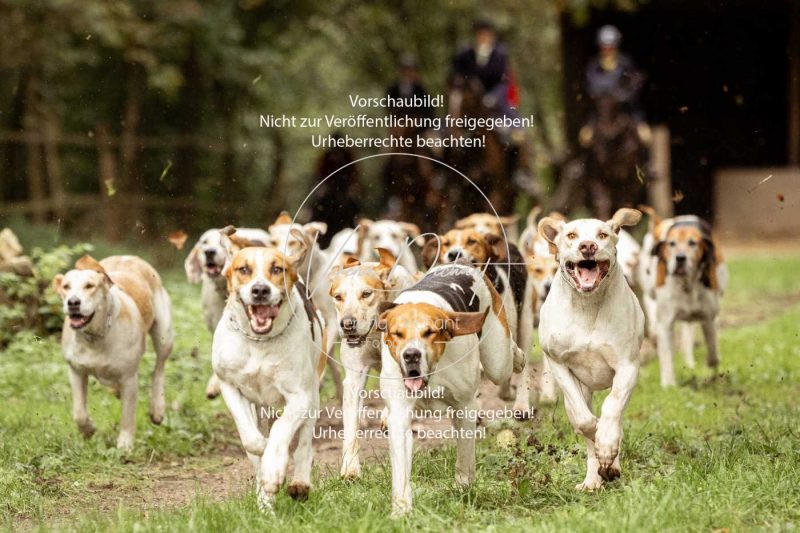 Schleppjagd_Roth-423