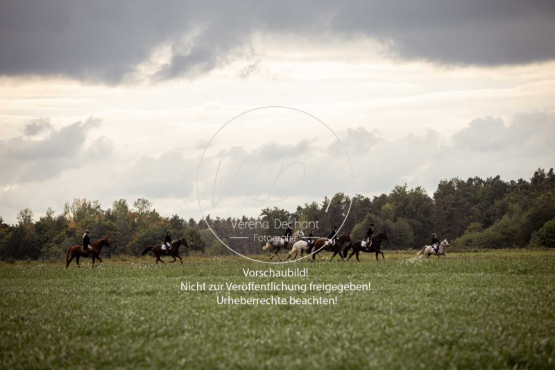 Schleppjagd_Roth-428