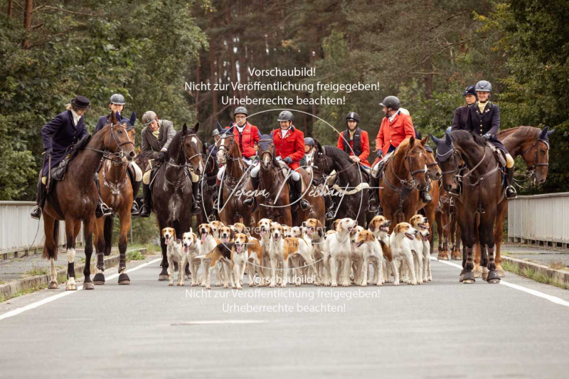 Schleppjagd_Roth-486