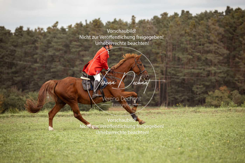 Schleppjagd_Roth-523