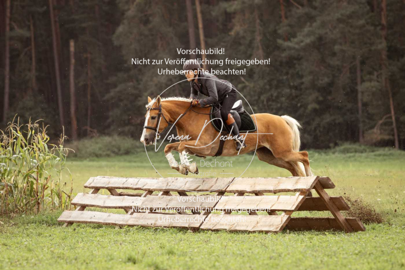 Schleppjagd_Roth-533