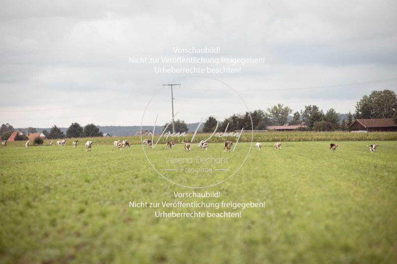 Schleppjagd_Roth-539