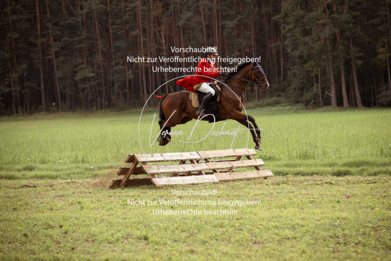 Schleppjagd_Roth-574
