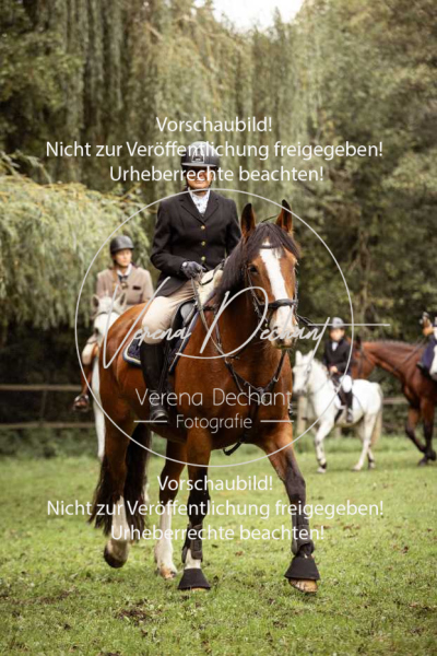 Schleppjagd_Roth-620