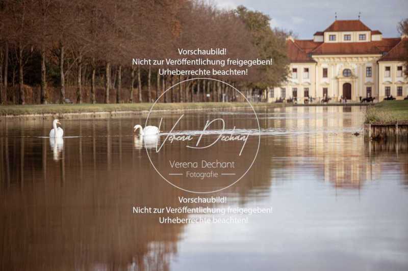 Schloss_Schleissheim-145-3