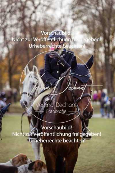 Schloss_Schleissheim-535
