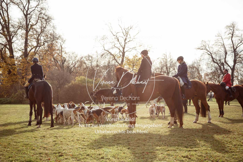 Schleppjagd_Schleissheim-002