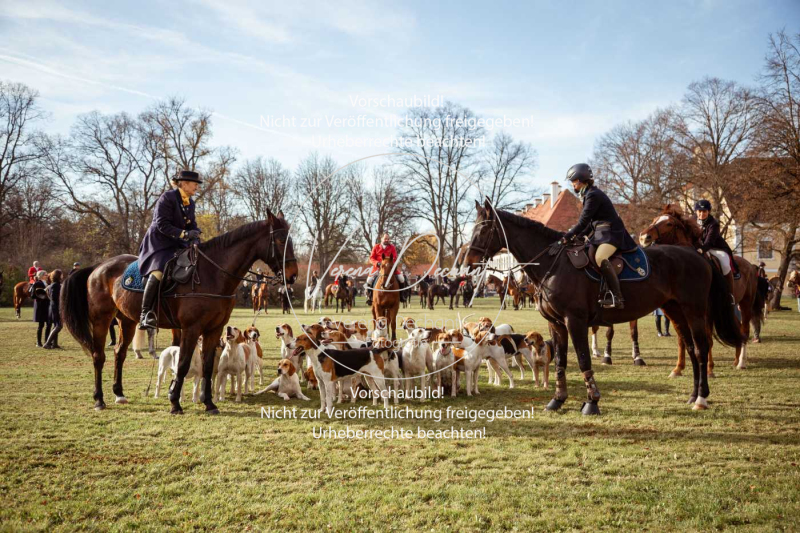 Schleppjagd_Schleissheim-005