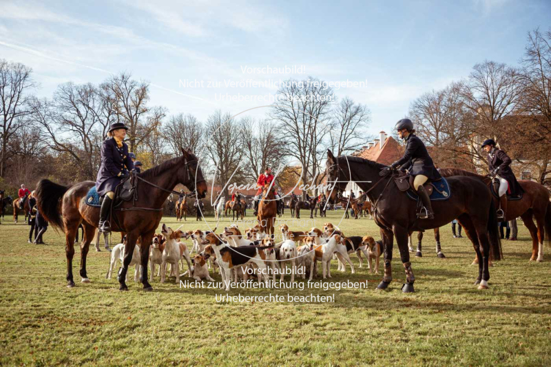 Schleppjagd_Schleissheim-007