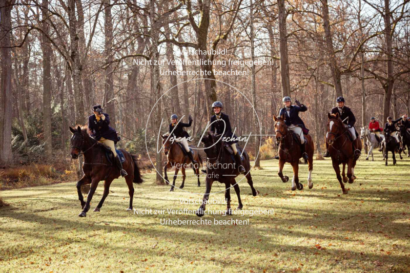 Schleppjagd_Schleissheim-033