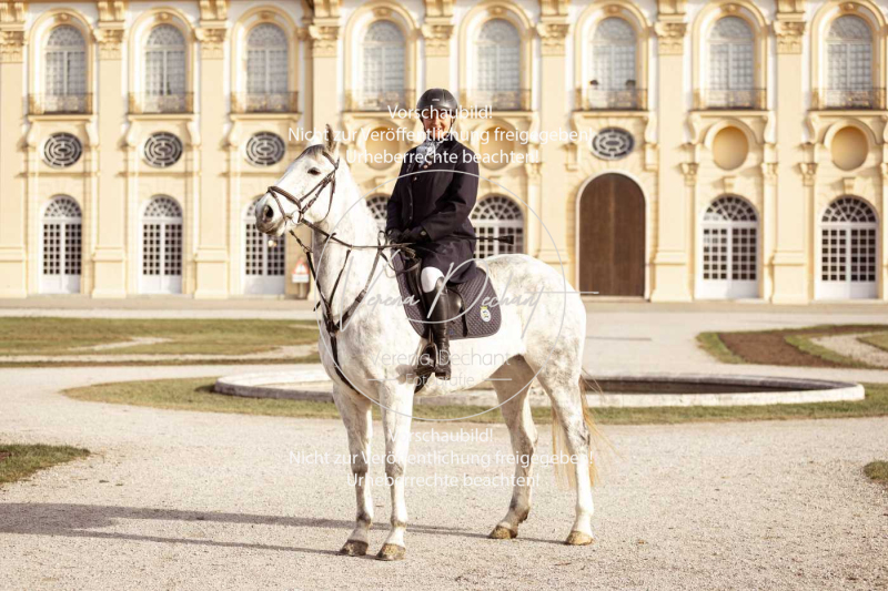 Schleppjagd_Schleissheim-049