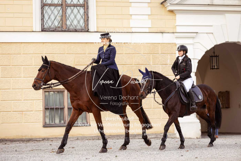 Schleppjagd_Schleissheim-061