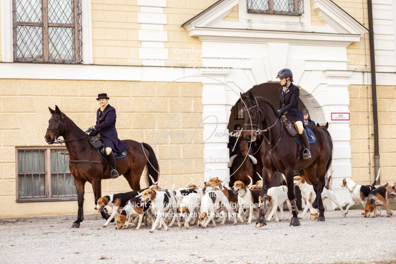 Schleppjagd_Schleissheim-072