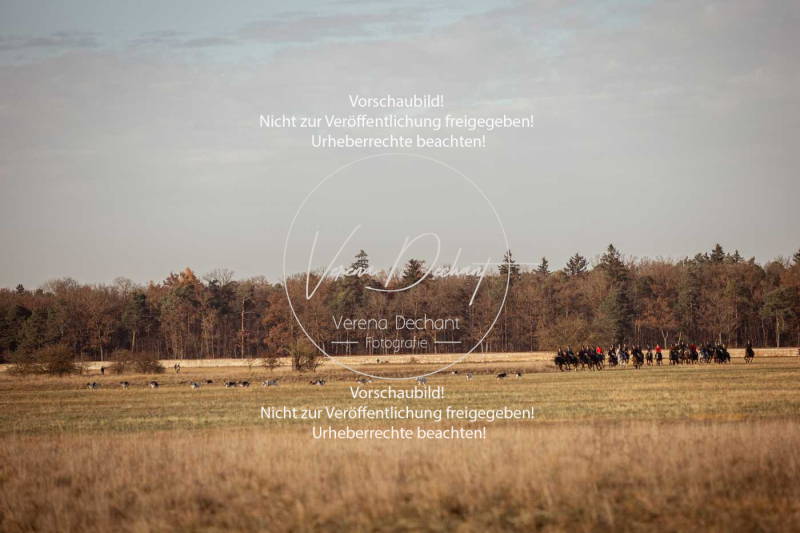 Schleppjagd_Schleissheim-1004