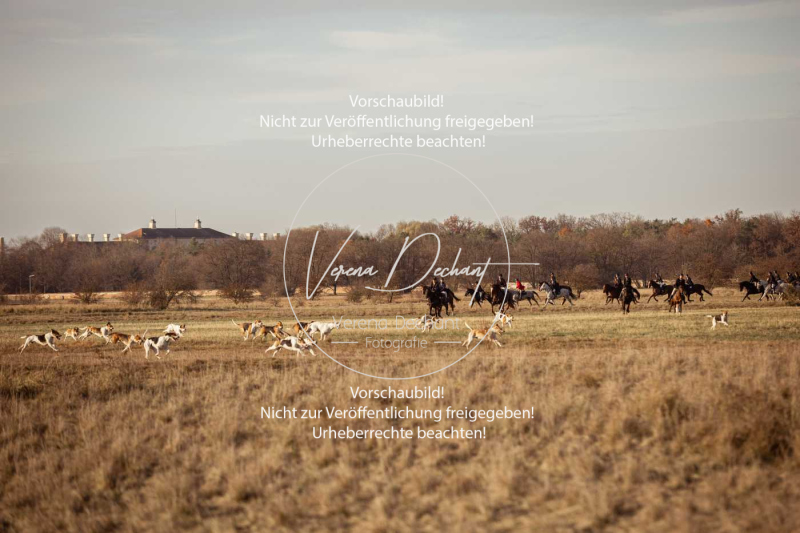 Schleppjagd_Schleissheim-1006