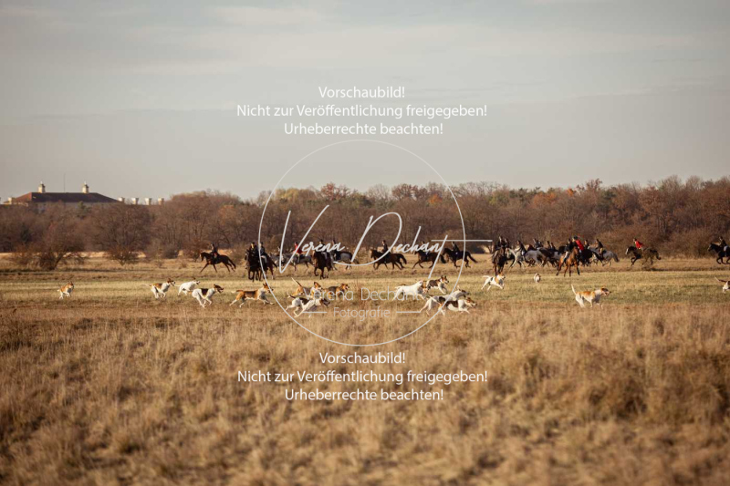 Schleppjagd_Schleissheim-1007